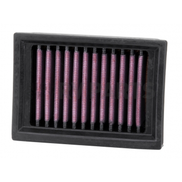 K & N Filters Air Filter - BM-6012-1