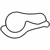 Fel-Pro Gaskets Water Pump Gasket - 35888