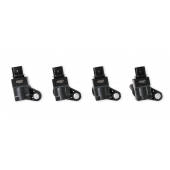 MSD Ignition Ignition Coil 823843