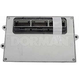 Dorman (OE Solutions) Engine Control Module - ECM 318101