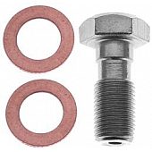 Raybestos Brakes Banjo Bolt H5388