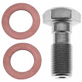 Raybestos Brakes Banjo Bolt H5388