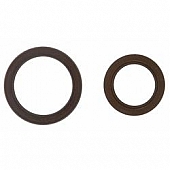 Fel-Pro Gaskets Camshaft Seal - TCS 46066