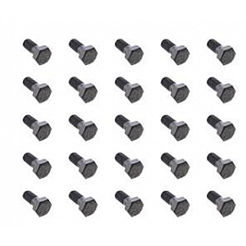Dana/ Spicer Differential Ring Gear Bolt - 40638