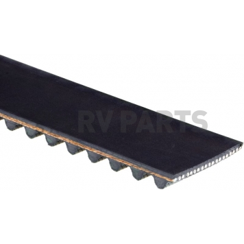 Gates Timing Belt - T295-2