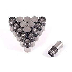 Crane Valve Lifter - 9938116