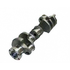 Eagle Specialty Crankshaft 103023402