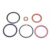 Standard&reg; Fuel Injector Seal Kit - SK55