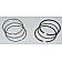 Total Seal Piston Ring Set - T9190 255