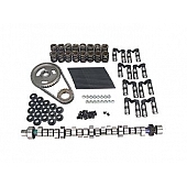 COMP Cams Camshaft/ Lifter/ Timing Gear/ Valve Spring Kit K206019