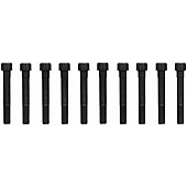 Fel-Pro Gaskets Cylinder Head Bolt Set ES71175