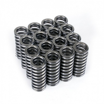 Skunk 2 Valve Spring - 311-05-1345