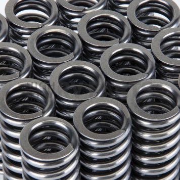 Skunk 2 Valve Spring - 311-05-1345-4