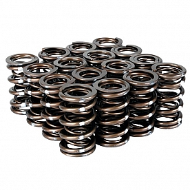 Skunk 2 Valve Spring - 311-05-7350