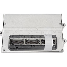 Dorman (OE Solutions) Engine Control Module - ECM 318102