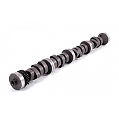 Crane Camshaft 13405