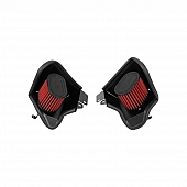 AEM Induction Cold Air Intake - 21-819