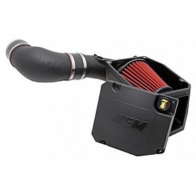 AEM Induction Cold Air Intake - 21-9032DS