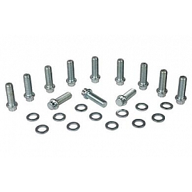 Moroso Performance Intake Manifold Bolt - 38420