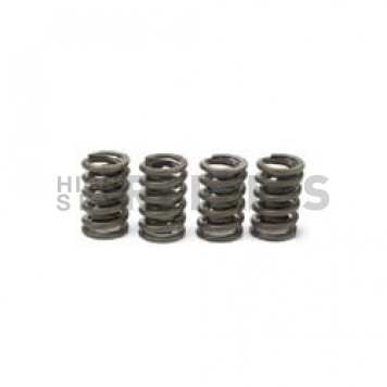 GM Performance Valve Spring - 12495494