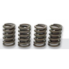 GM Performance Valve Spring - 12551483