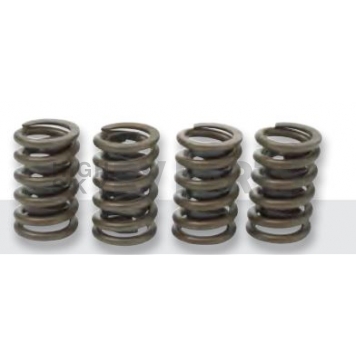 GM Performance Valve Spring - 12551483