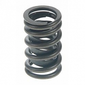 Sealed Power Eng. Valve Spring - VS-521