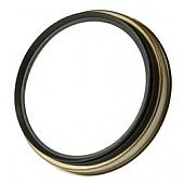 National Seal Wheel Seal - 710477