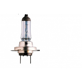 Hella Driving/ Fog Light Bulb - H71070702