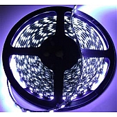 Race Sport Lighting Rope Light LED White 16.4 Feet - 50505MW