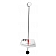 Performance Tool Torque Wrench M195