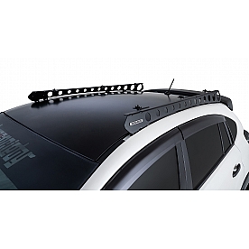 Rhino-Rack USA Roof Rack Platform Rails - Stainless Steel Set Of 2 - RSCB1