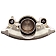Raybestos Brakes Brake Caliper - FRC4417N