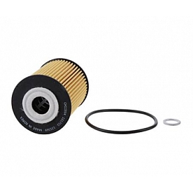Fram Filter Oil Filter - CH11934
