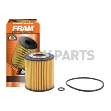 Fram Filter Oil Filter - CH9641-3