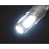 Putco Tail Light Bulb - 247443W-360