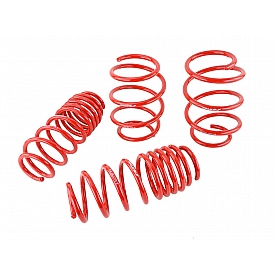 Skunk 2 Lowering Kit - 519-05-1775