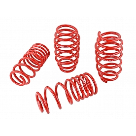 Skunk 2 Lowering Kit - 519-05-1580