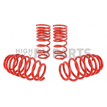 Skunk 2 Lowering Kit - 519-05-1580-3