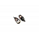 Race Sport Lighting Multi Purpose Light Bulb LED - TBT10W