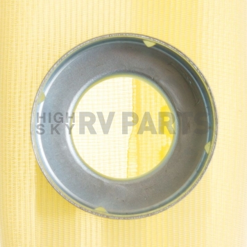 Delphi Technologies Fuel Pump Strainer - FS0031-6