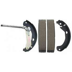 Raybestos Brakes Brake Shoe - 860PG