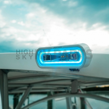 Rigid Lighting Backup Light LED Oval - 51201-1