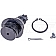 Dorman MAS Select Chassis Ball Joint - BJ81105