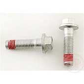 Raybestos Brakes Disc Brake Caliper Bolt - H17053