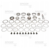 Dana/ Spicer Differential Rebuild Kit - 10040478