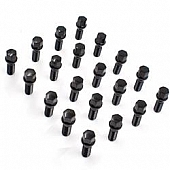 Coyote Wheel Accessories Wheel Installation Kit - 84K549-24BLK