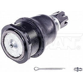 Dorman Chassis Ball Joint - B778PR