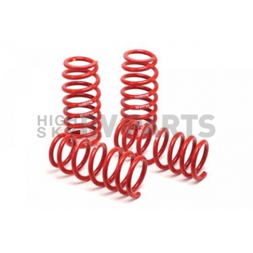 H&R Race Lowering Spring Kit - 51655-88