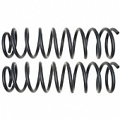Moog Chassis Front Coil Springs Pair - 81220